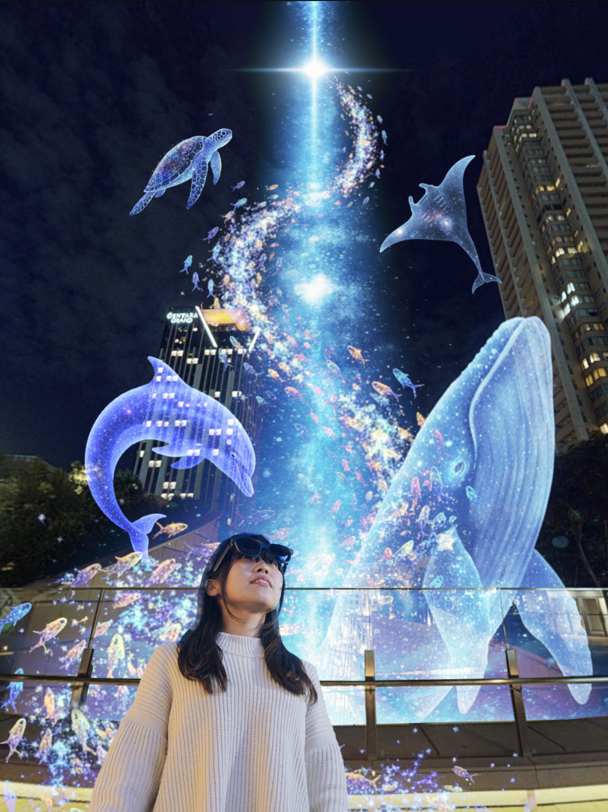 イルミネーションダイビング